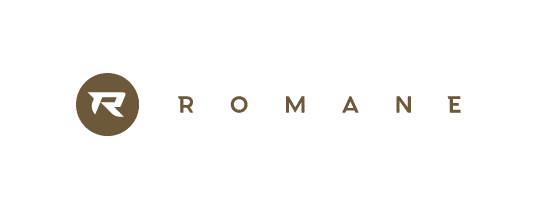romane_construction_dieter